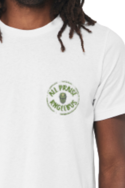 Adult T-shirt — RNGeebus
